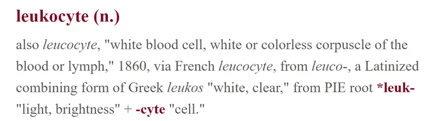 Contoh arti kata 'leukocyte' - 8+ Tools Produktivitas Mahasiswa Kedokteran | Ilmuverse Contoh arti kata 'leukocyte' - 8+ Tools Produktivitas Mahasiswa Kedokteran | Ilmuverse